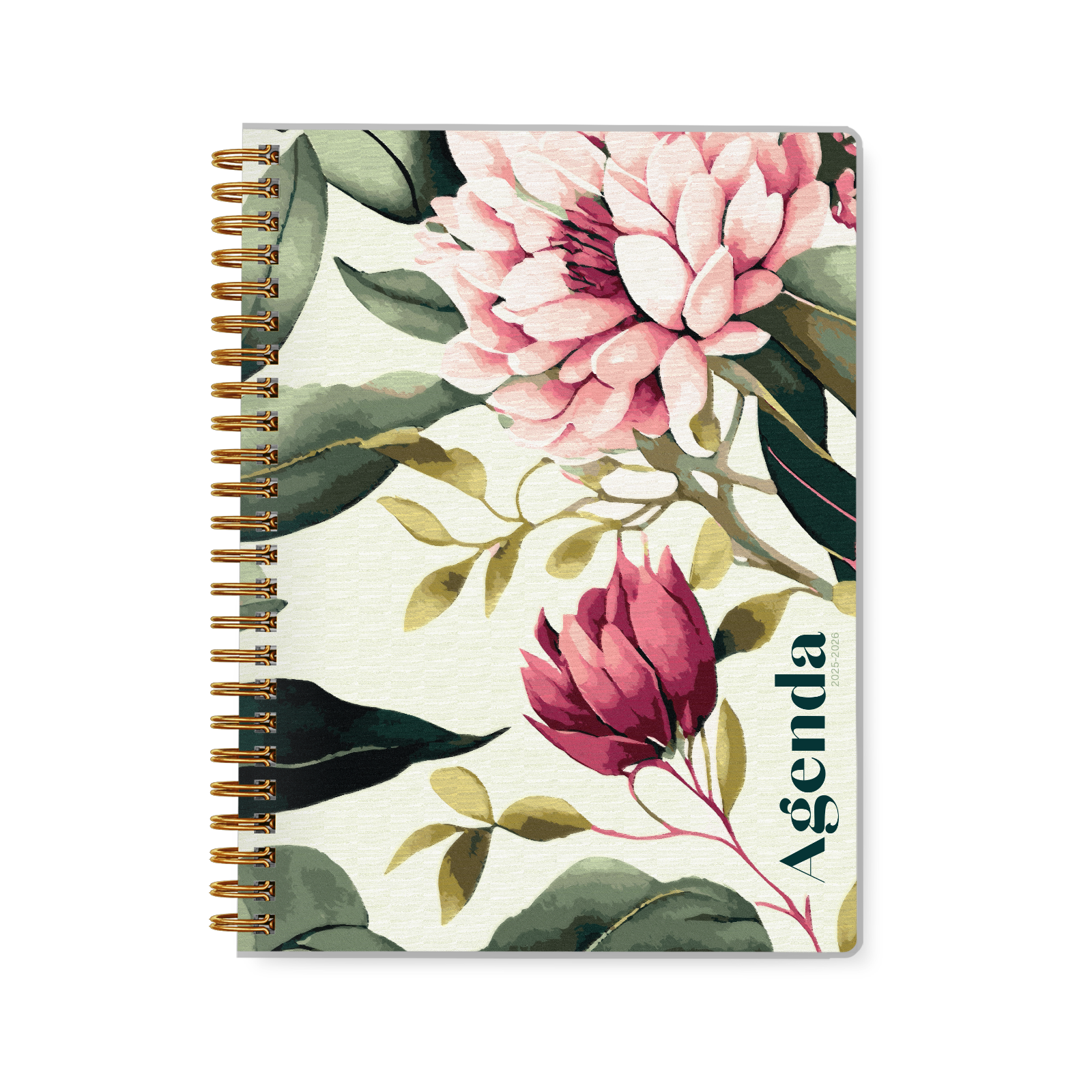 Pivoines sauge Pivoines sauge