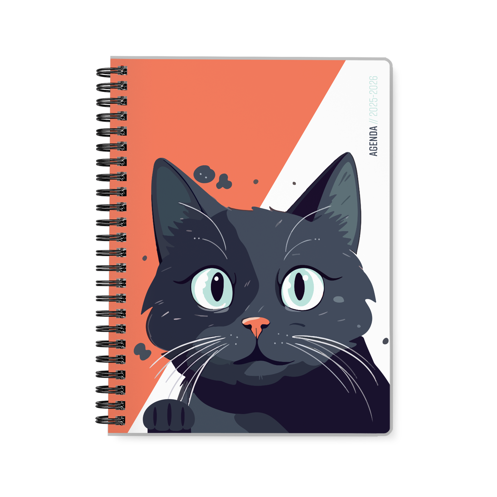 Chat chanceux Chat chanceux