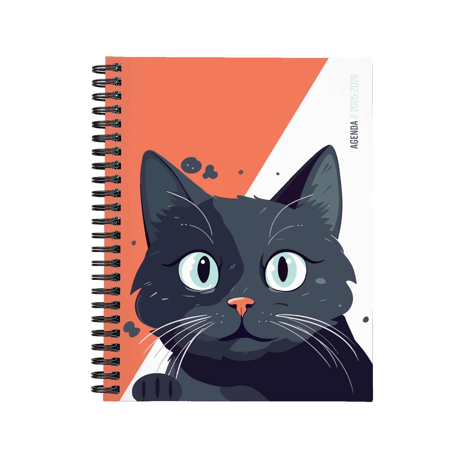 Chat chanceux Chat chanceux