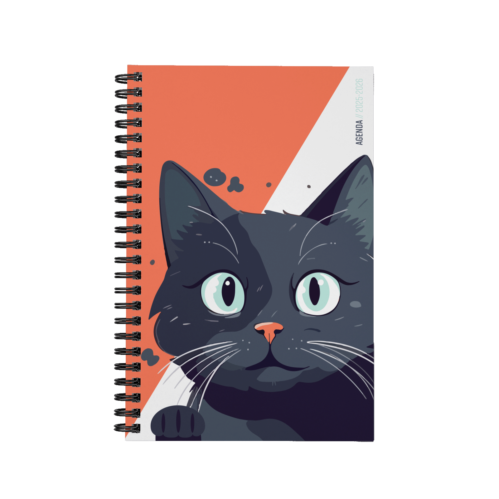 Chat chanceux Chat chanceux