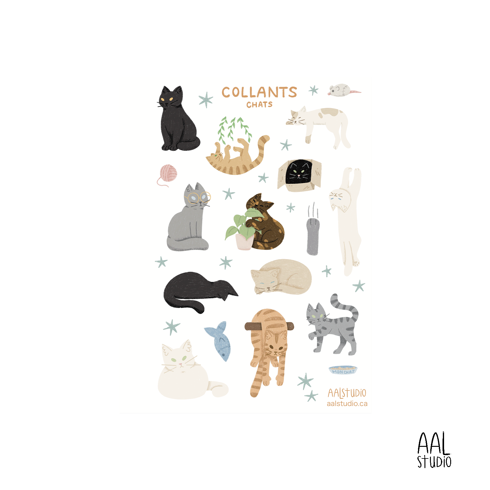 Chats Chats