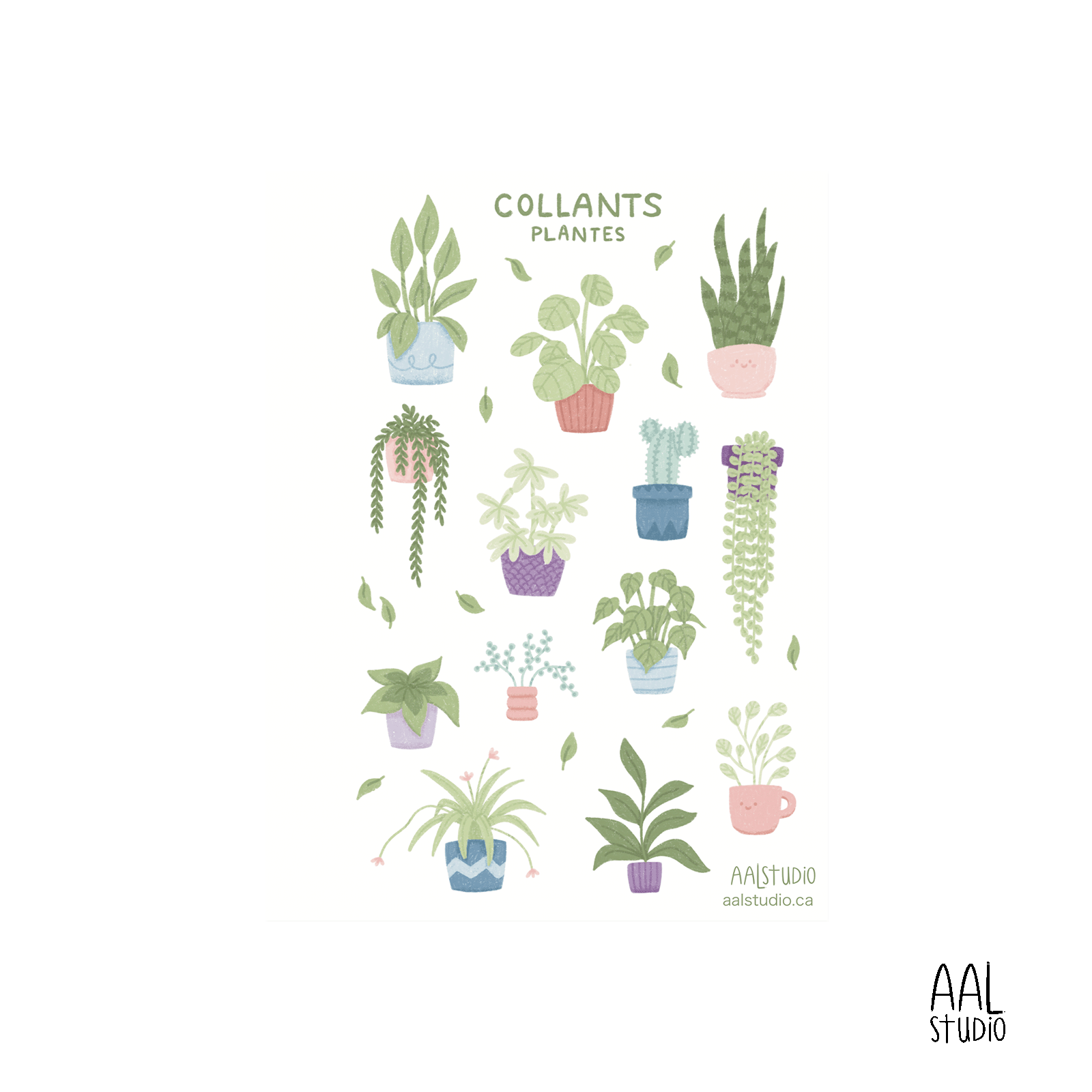 Plantes Plantes