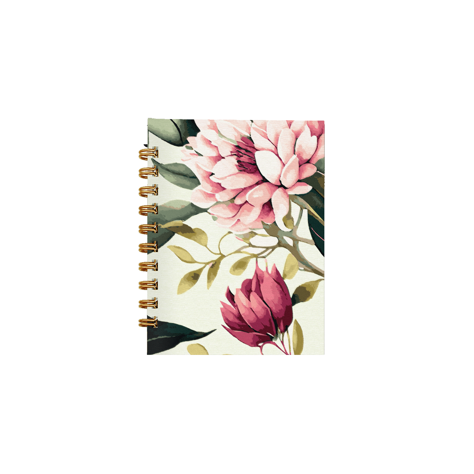 Pivoines sauge Pivoines sauge