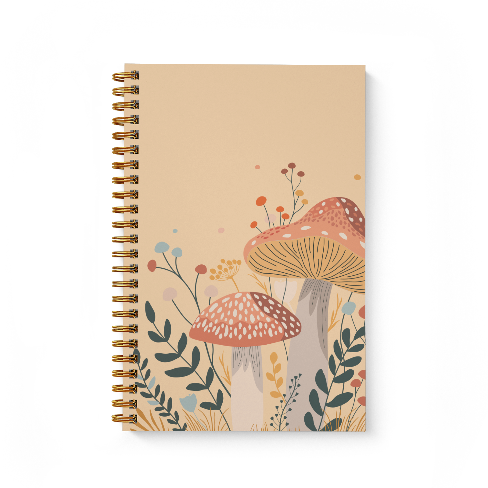 Champignons Champignons