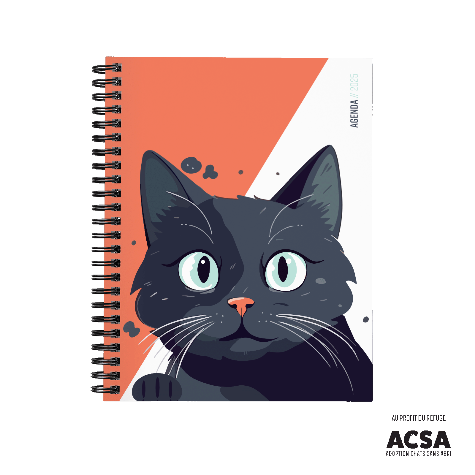 Chat chanceux (ACSA)