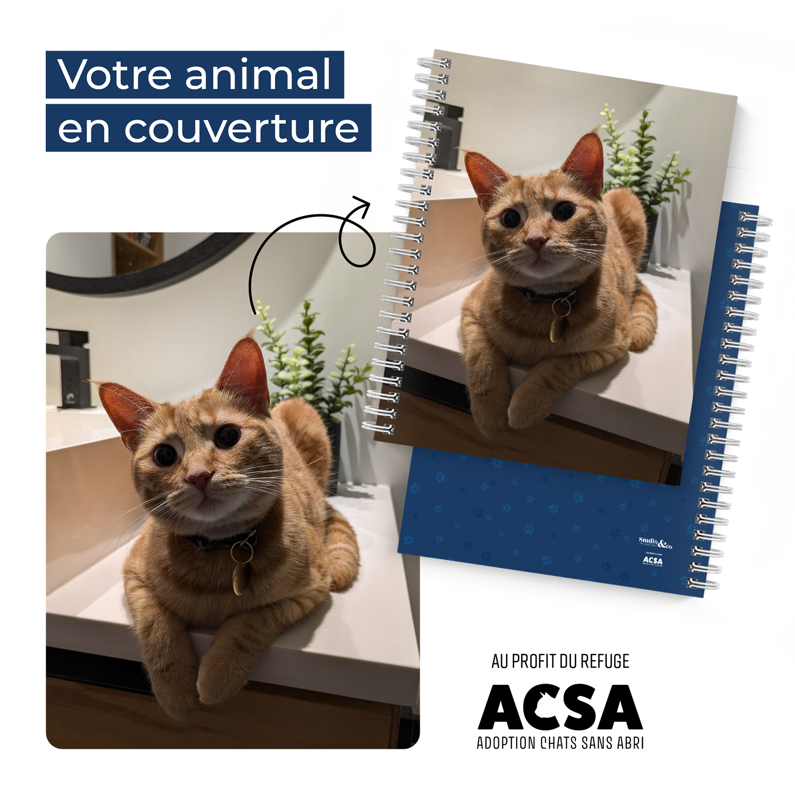 Votre animal