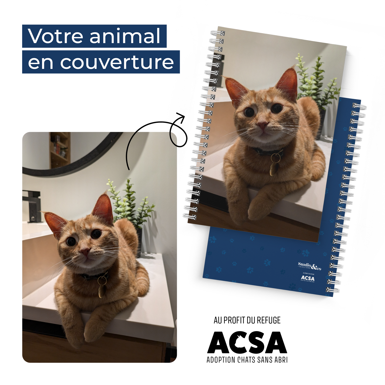 Votre animal!