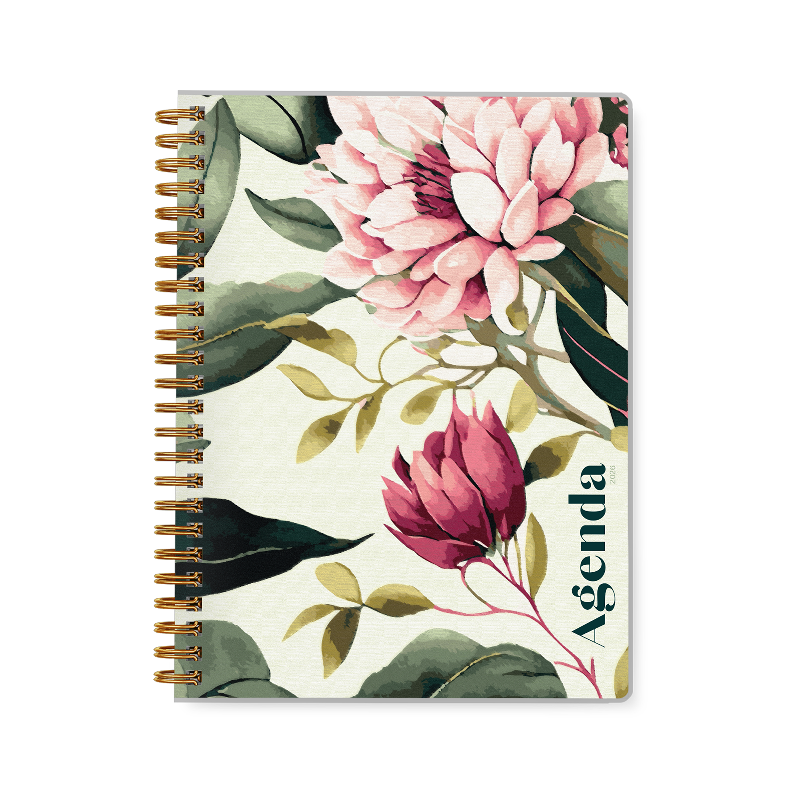 Pivoines