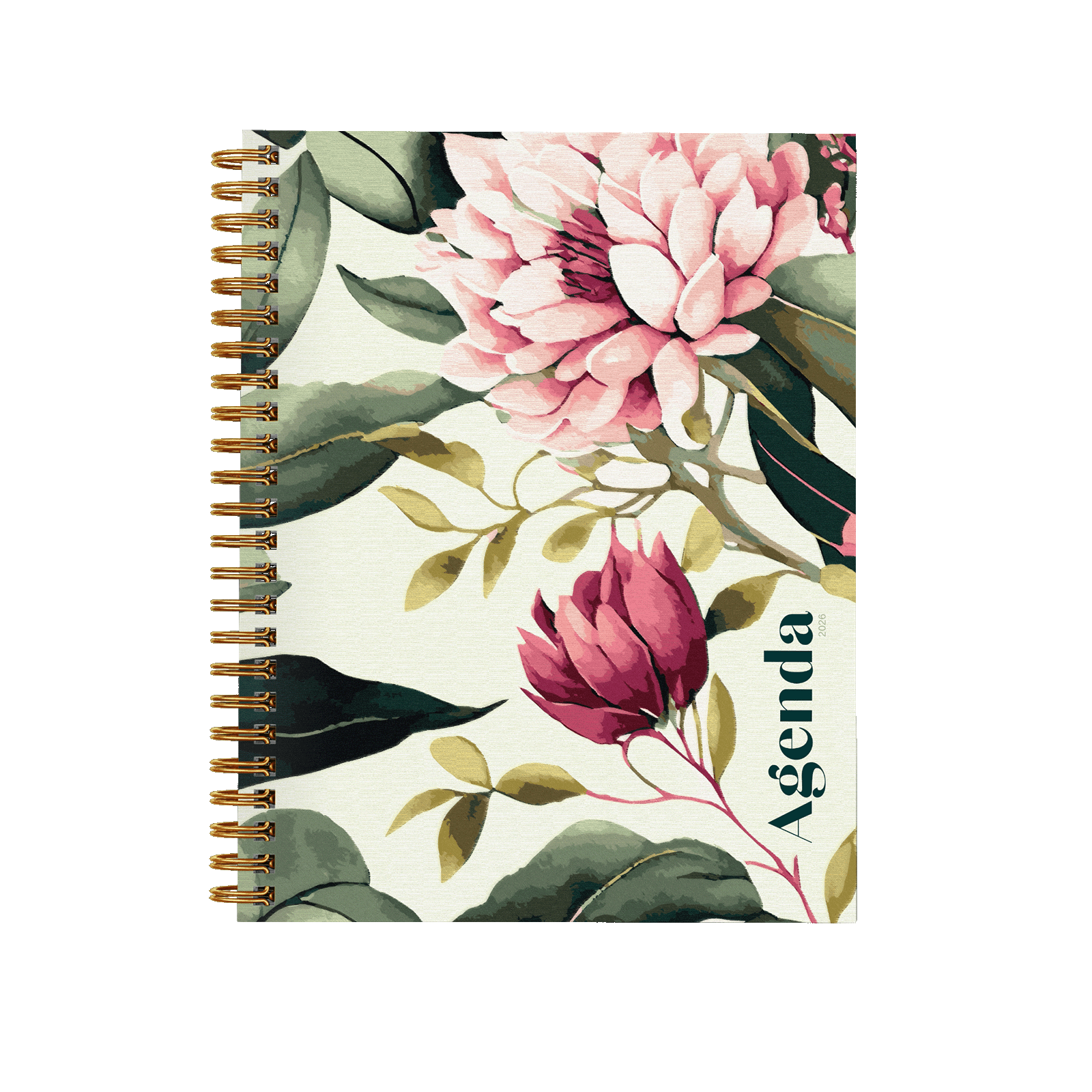 Pivoine