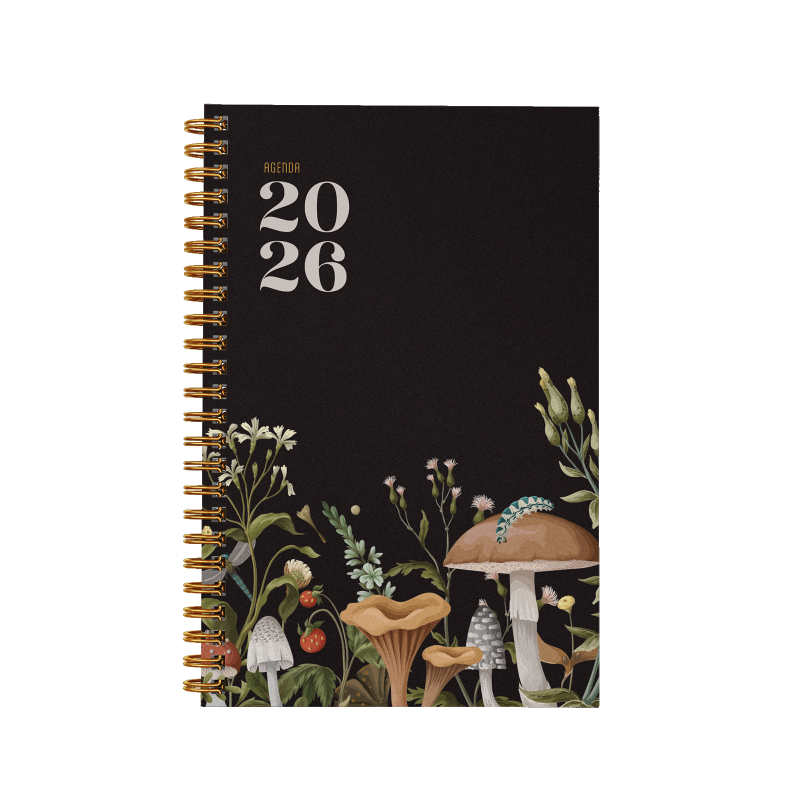 Forêt de champignons
