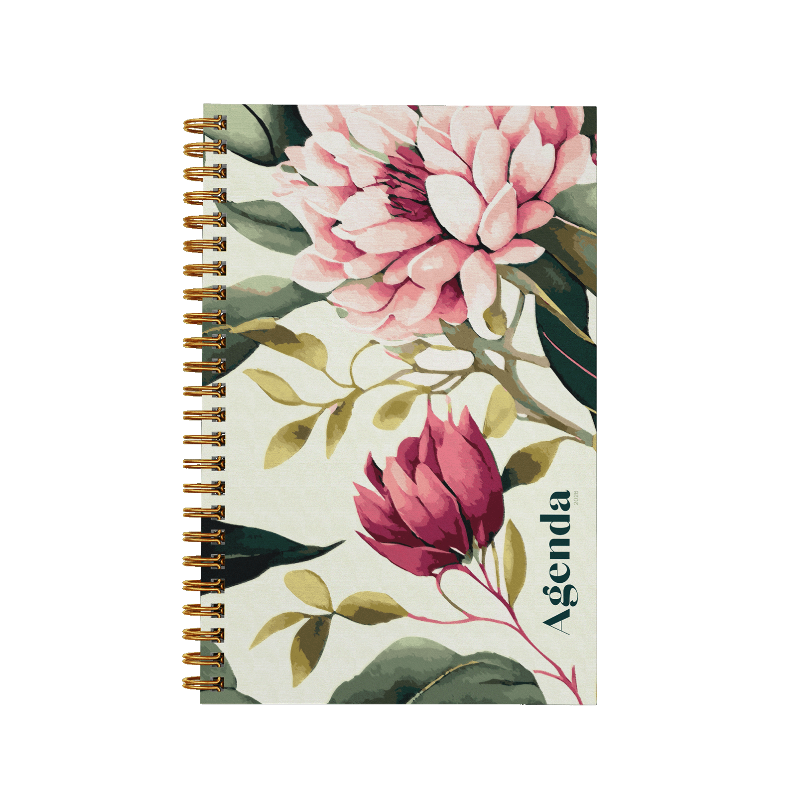 Pivoines