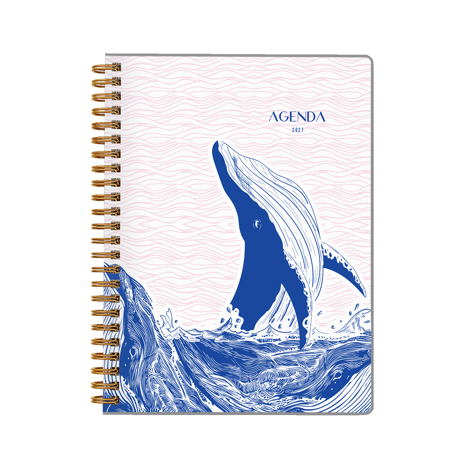 Baleine rose