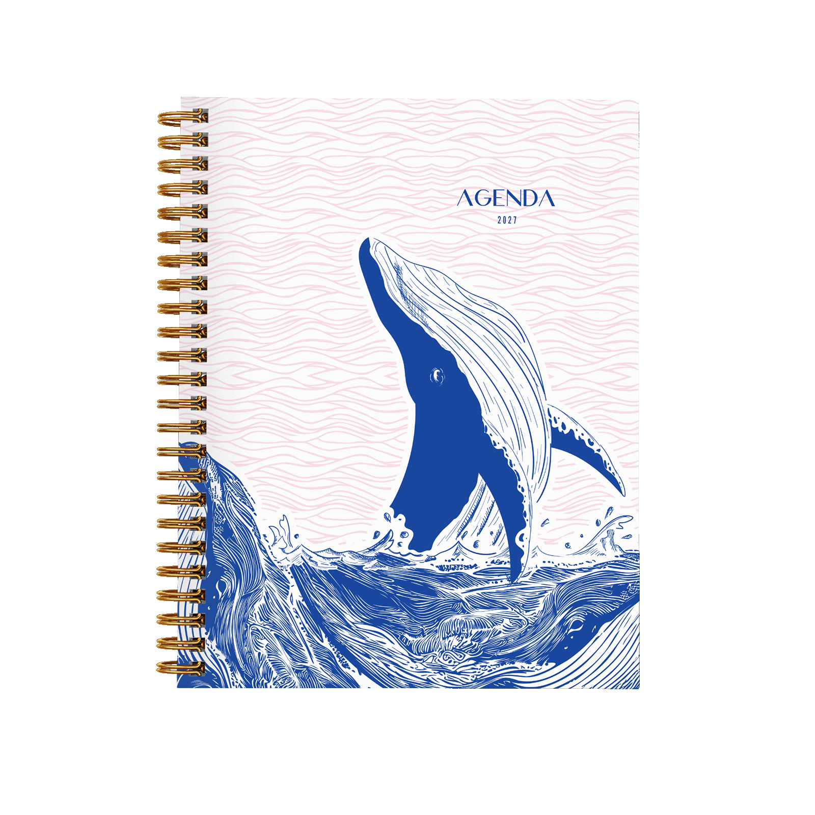 Baleine rose