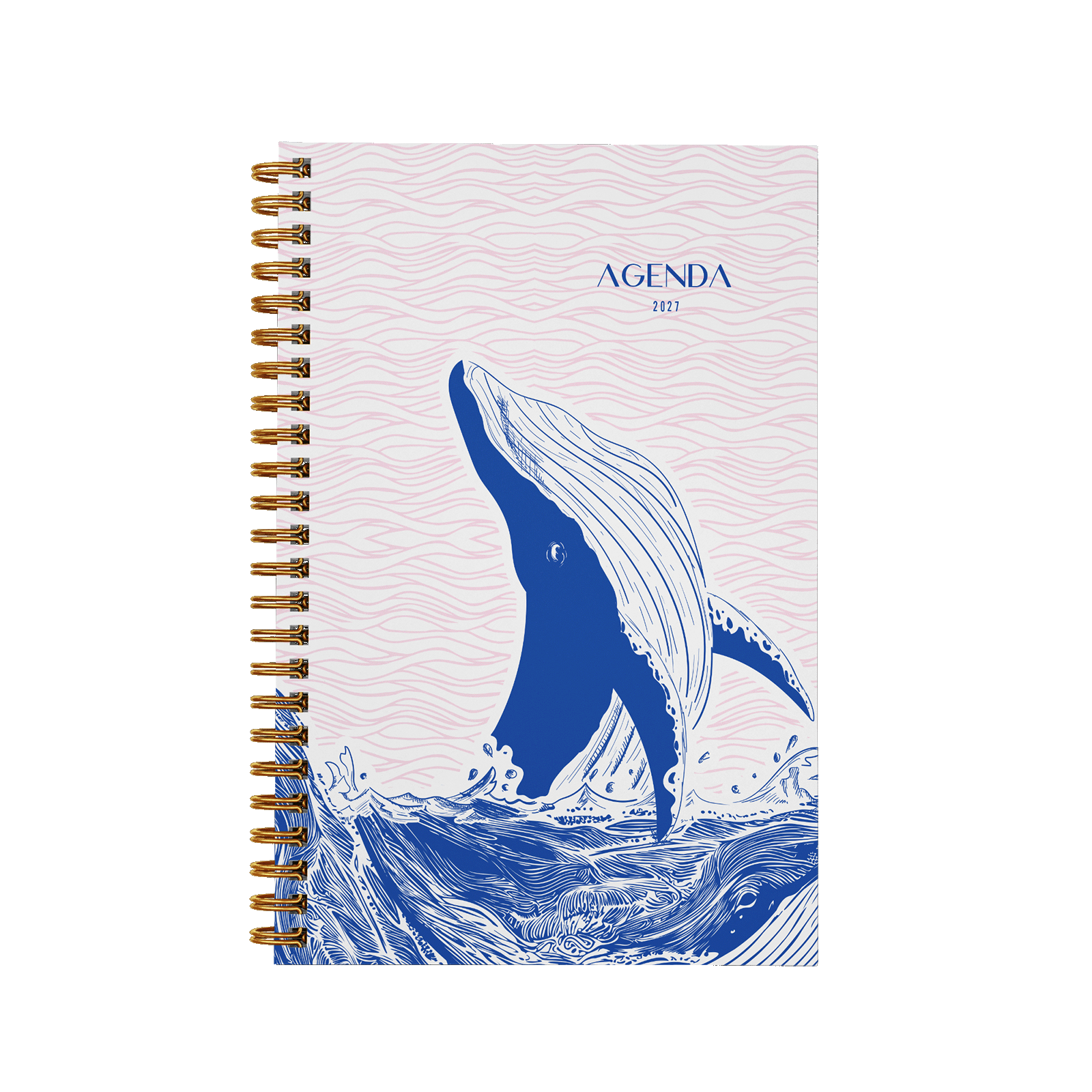 Baleine rose