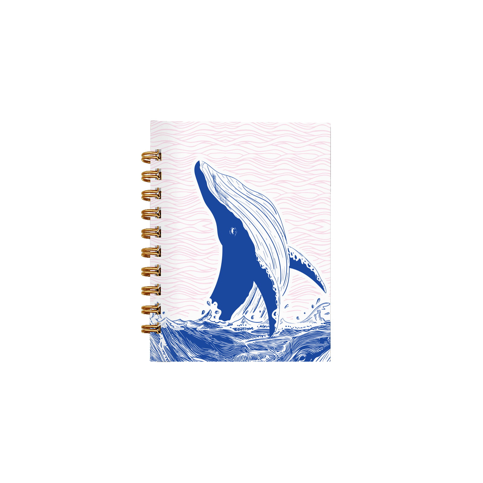 Baleine rose