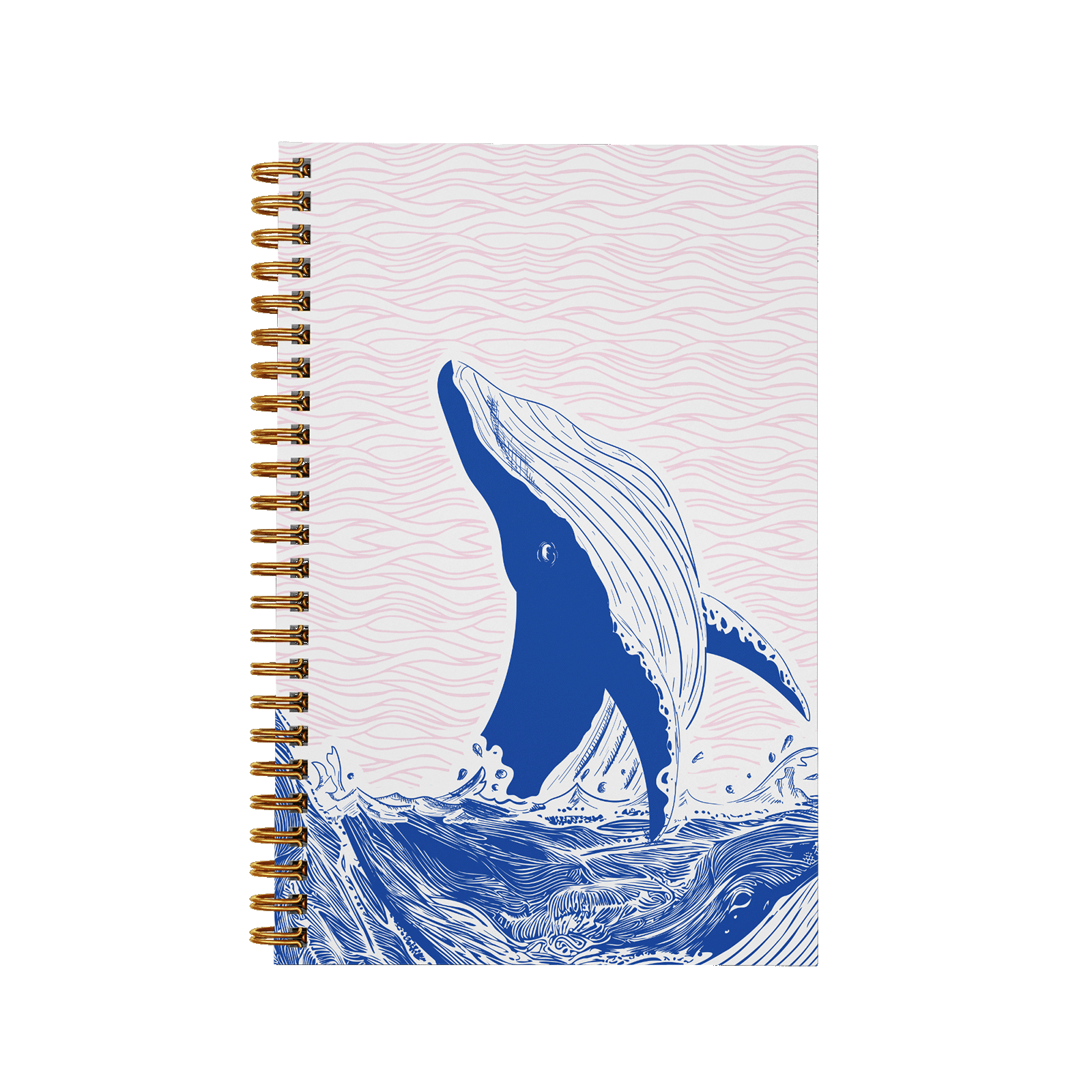 Baleine rose